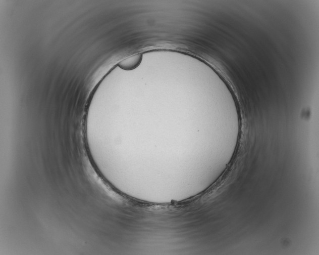 X0000113130906200910021413