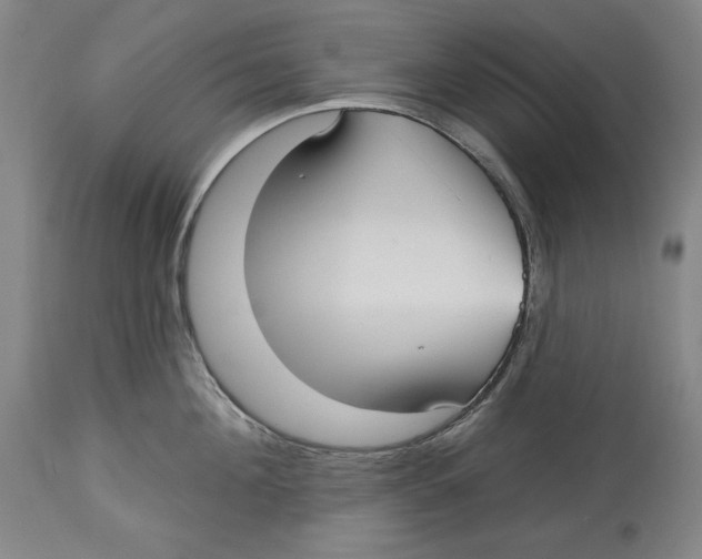 X0000113130908200910021413