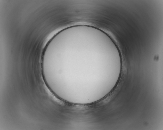 X0000113130910200910021413