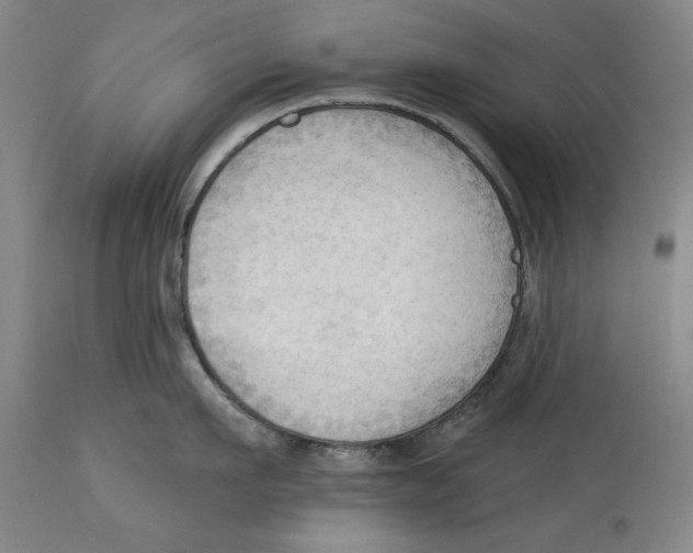 X0000113130911200910021413