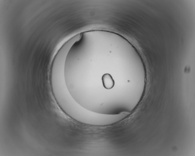 X0000113130912200910021413