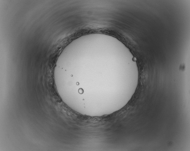 X0000113130917200910021412