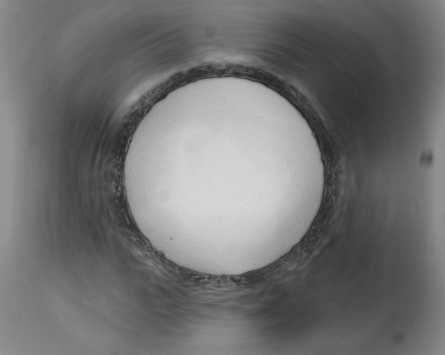 X0000113130919200910021412