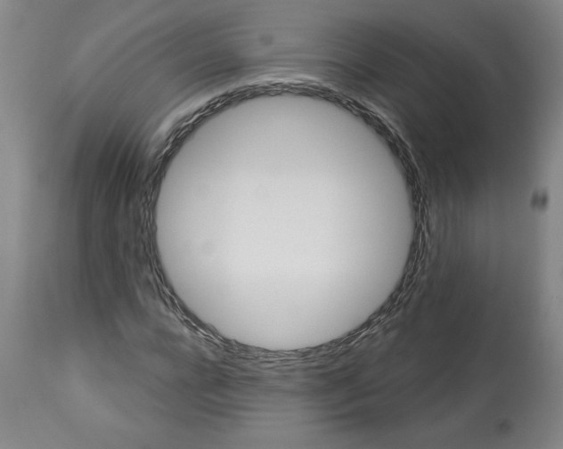 X0000113130920200910021412