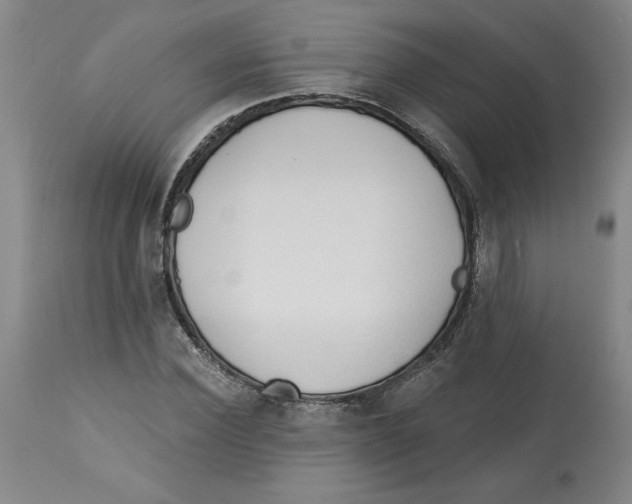 X0000113130924200910021412