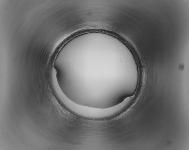 X0000113130925200910021412