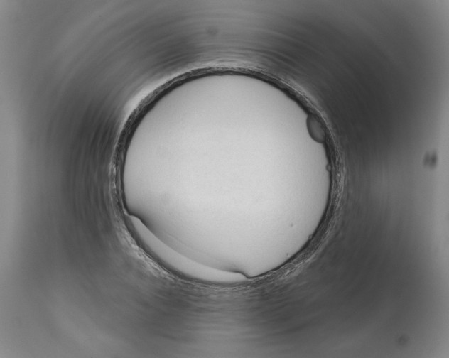 X0000113130928200910021412