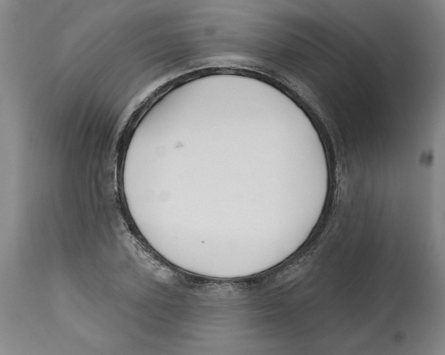 X0000113130931200910021412