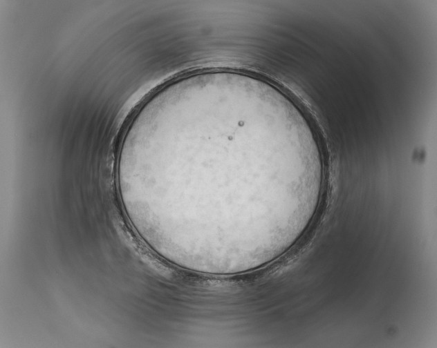 X0000113130933200910021412