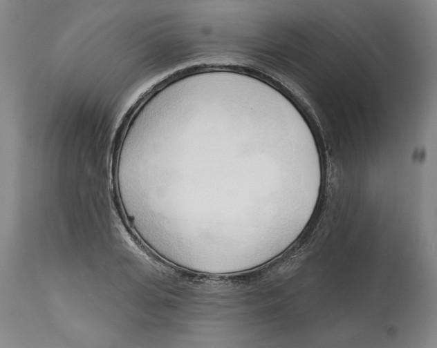 X0000113130935200910021412