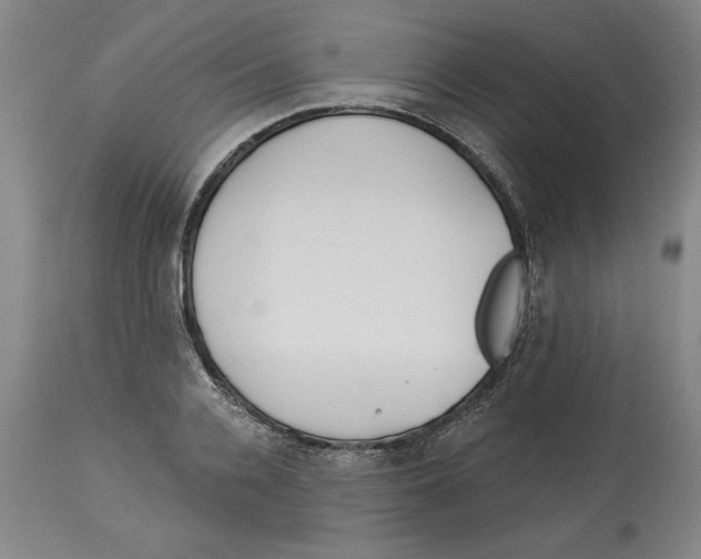 X0000113130936200910021412