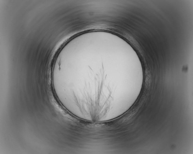 X0000113130939200910021412