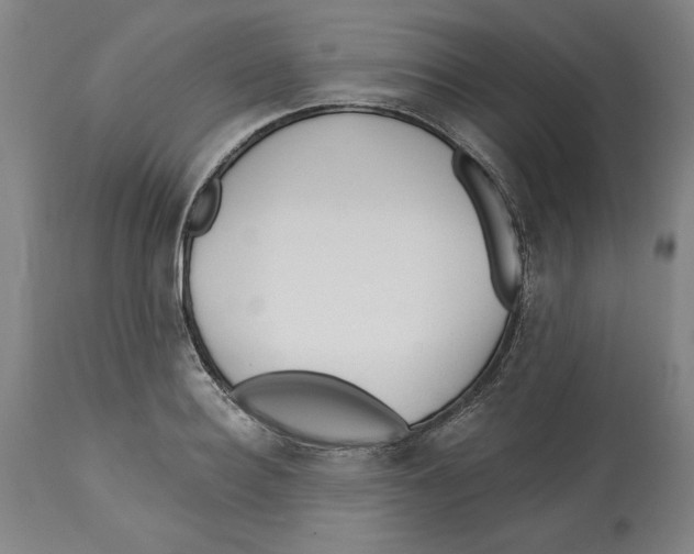 X0000113130940200910021412