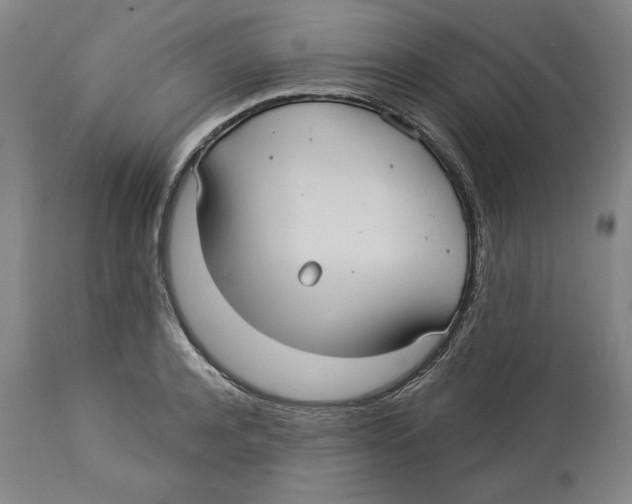 X0000113130944200910021412