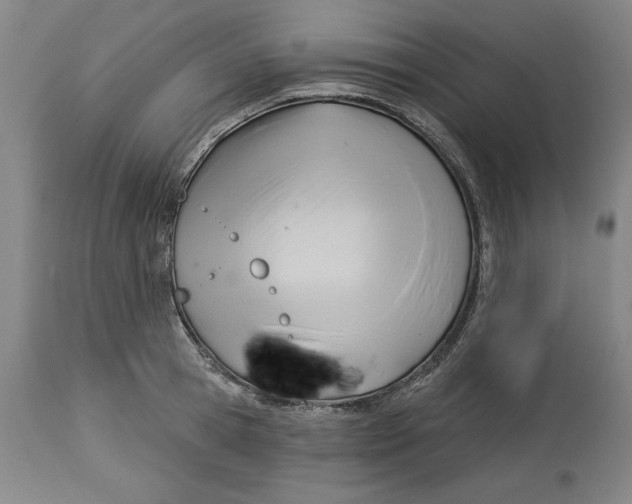 X0000113130945200910021412