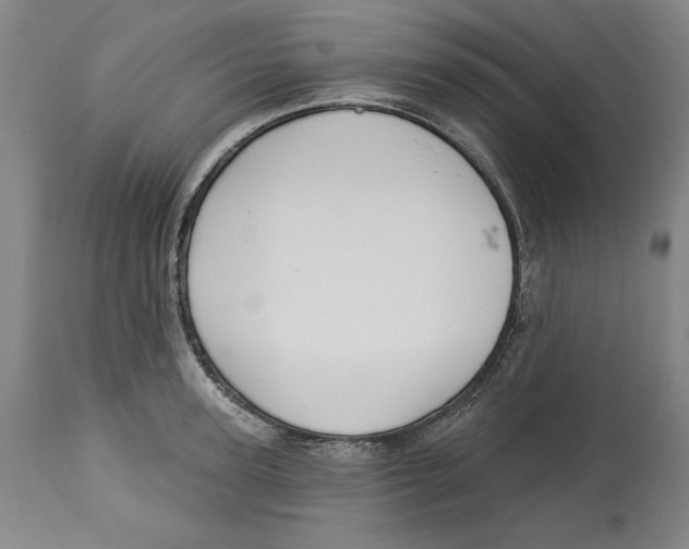 X0000113130947200910021413