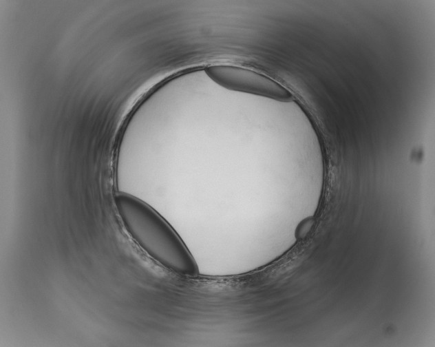 X0000113130948200910021413