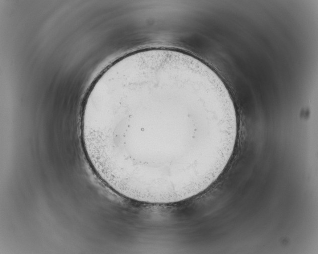 X0000113130950200910021413