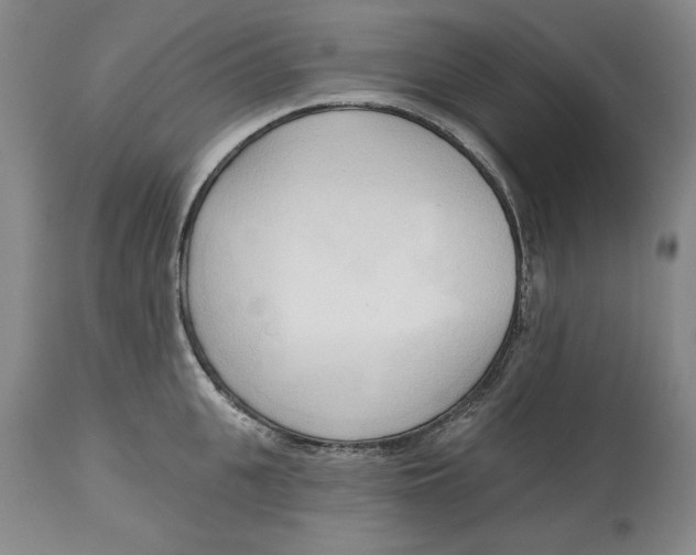 X0000113130951200910021413