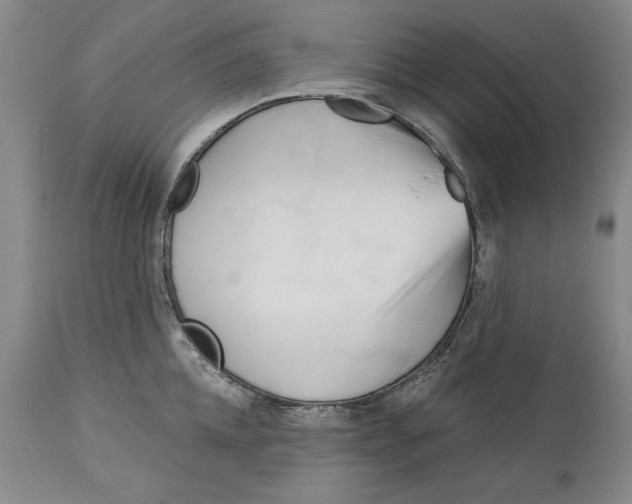 X0000113130952200910021413