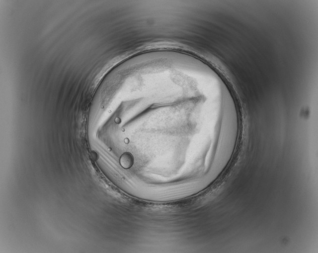 X0000113130953200910021413