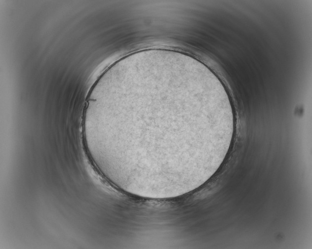 X0000113130954200910021413