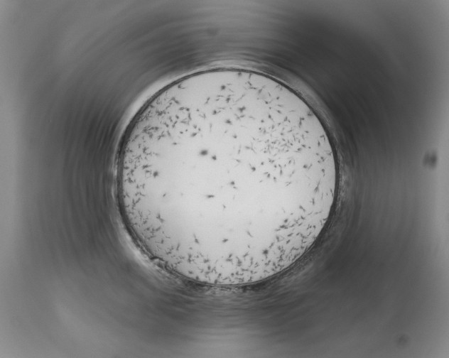 X0000113130955200910021413