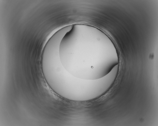 X0000113130956200910021413