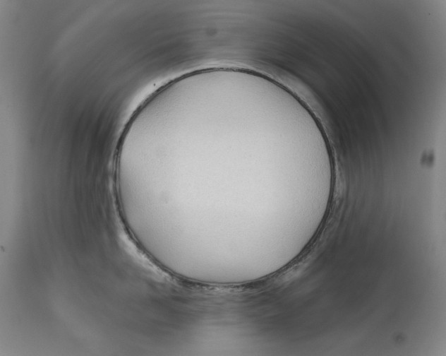 X0000113130958200910021413