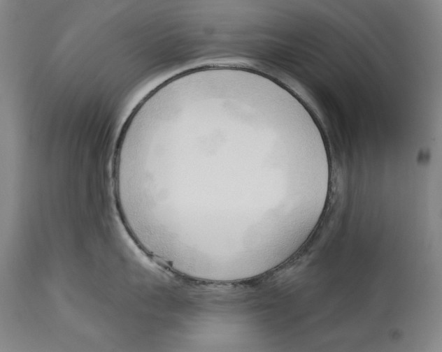 X0000113130959200910021413