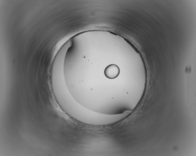 X0000113130960200910021413