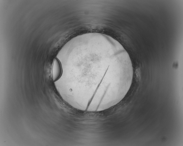 X0000113130963200910021412