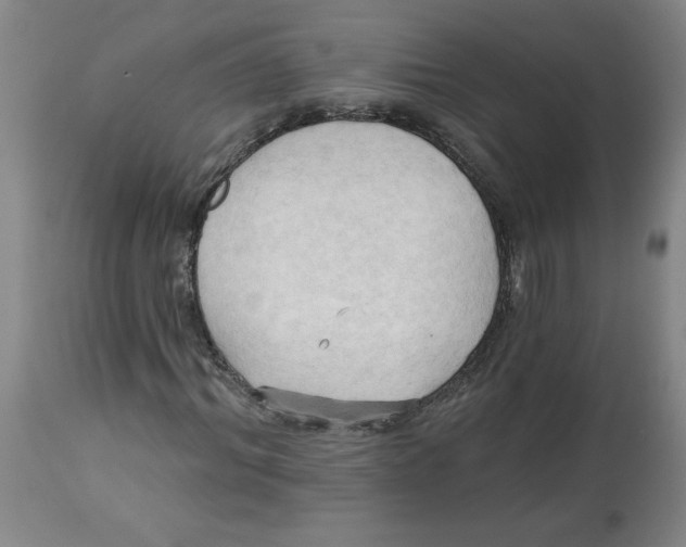 X0000113130964200910021412