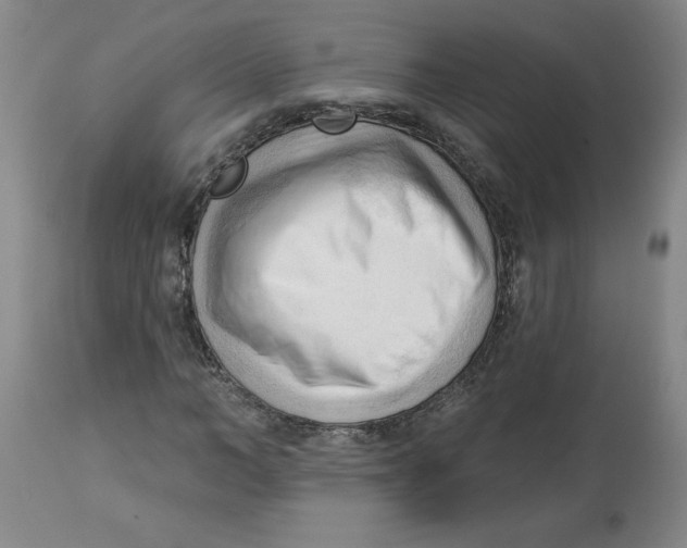 X0000113130966200910021412