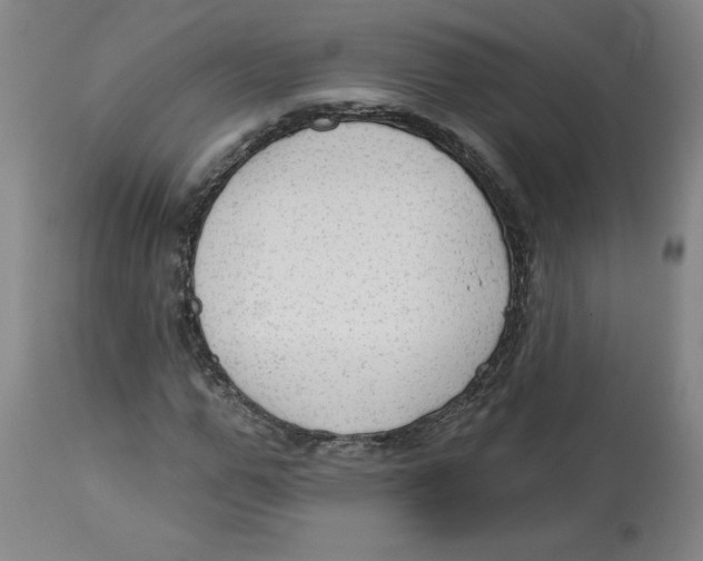 X0000113130967200910021412