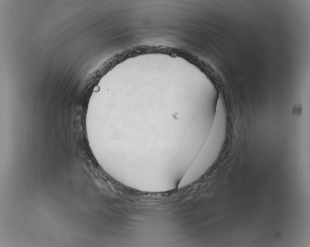 X0000113130968200910021412