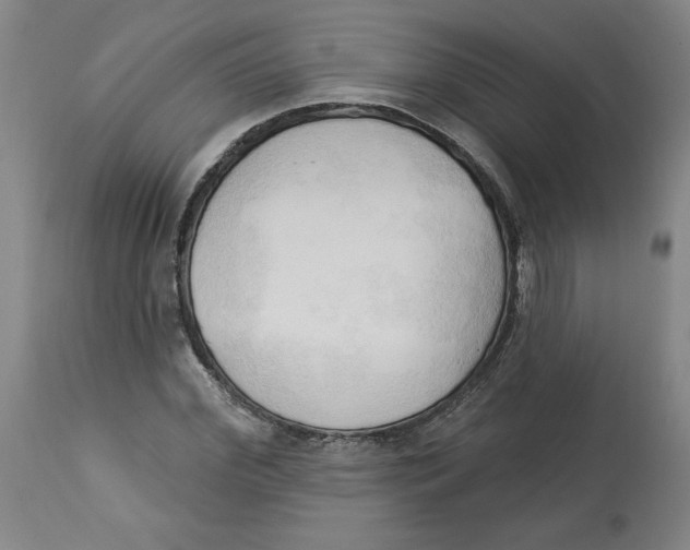 X0000113130972200910021412