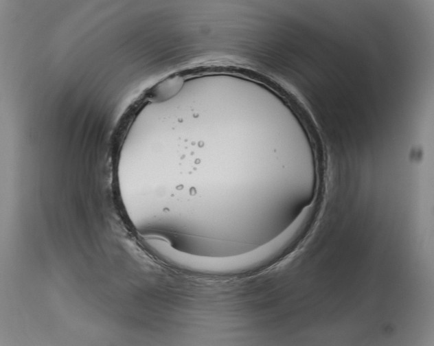 X0000113130973200910021412