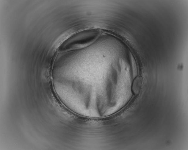 X0000113130977200910021412