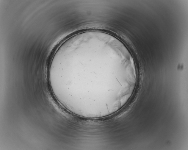 X0000113130981200910021412