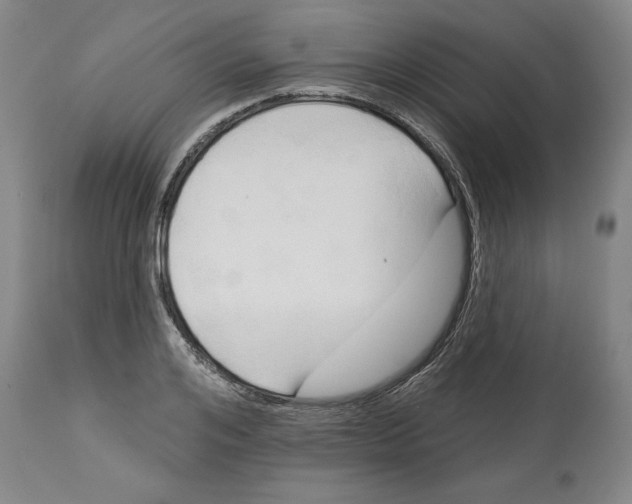 X0000113130984200910021412