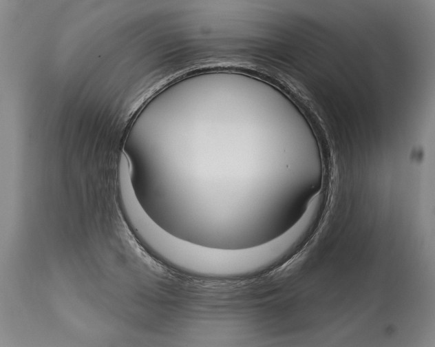 X0000113130985200910021412