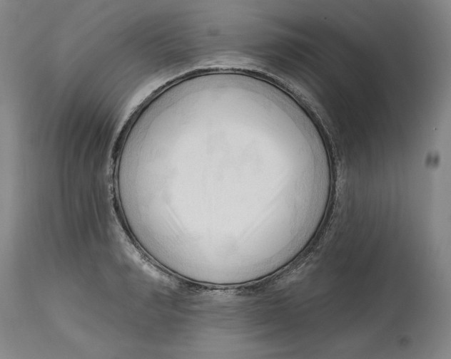 X0000113130990200910021411