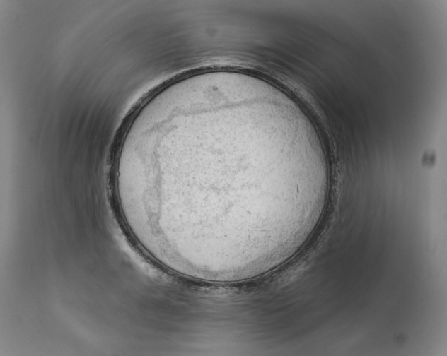 X0000113130991200910021411