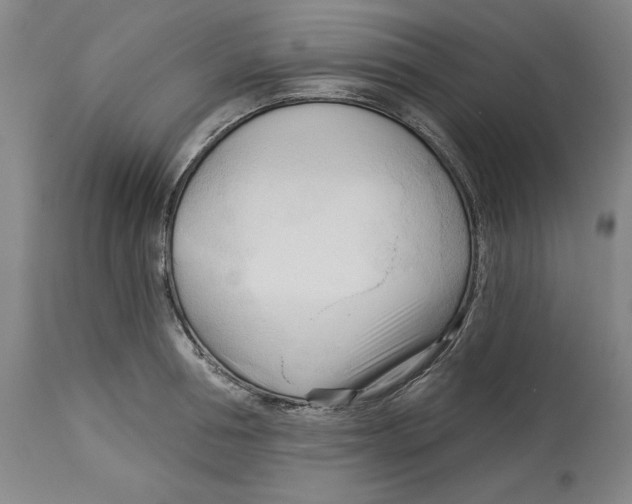 X0000113130994200910021411