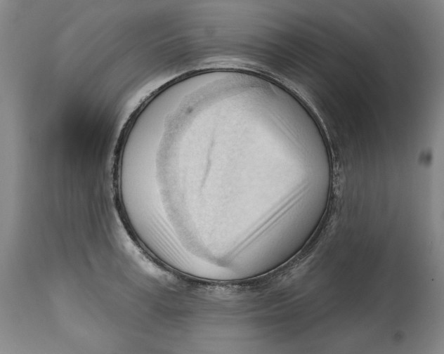 X0000113130995200910021411