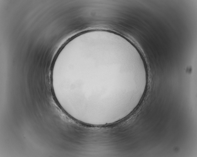 X0000113130996200910021411