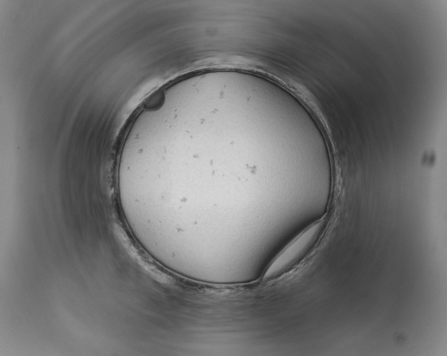 X0000113130997200910021411