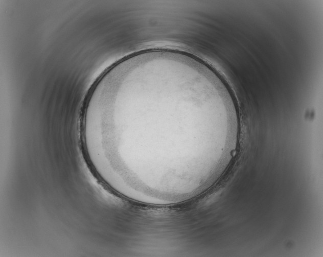 X0000113130999200910021411