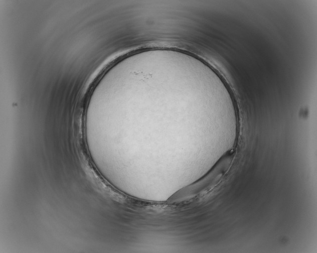 X0000113131000200910021411